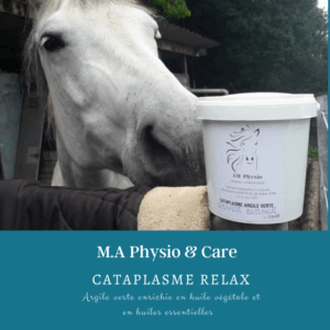cataplasme argile verte - relaxant cheval