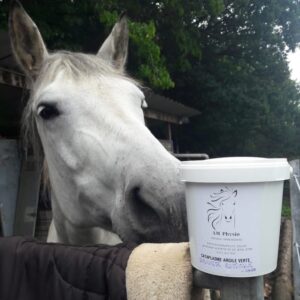 Argile réparatrice pour fourchettes – miel & zinc Soin naturel pour les pieds des chevaux, favorisant la réparation et le confort des fourchettes - M.A Physio & Care