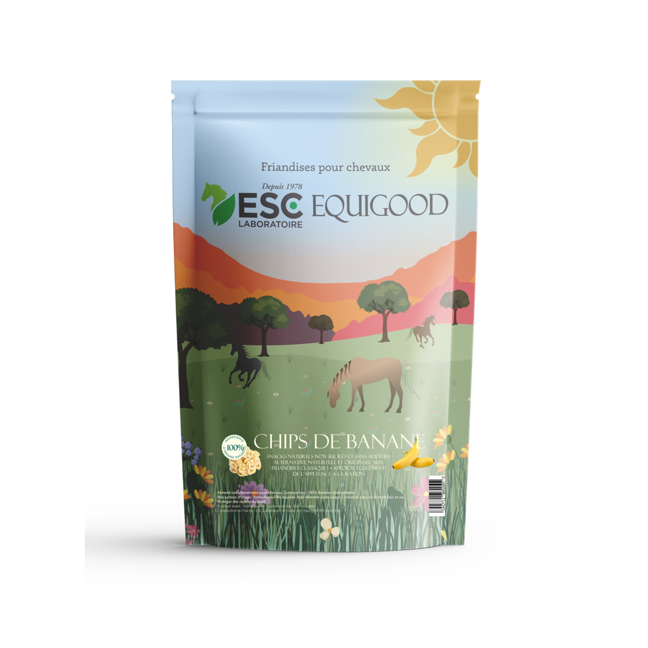 chips de bananes - MA physio & care belgique - cheval